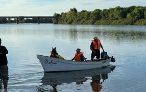 "Cartucho", el can del Grupo de Operaciones Especiales de la Policía de la provincia de Misiones, se entrenó en seguridad y búsqueda acuática