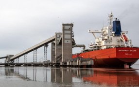 Exportadores advierten que las trabas del Banco Central pueden “quebrar” la cadena logística