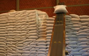 Programas de apoyo al sector yerbatero: Están vigentes un total de 17 de apoyo directo del INYM a los distintos eslabones de la actividad yerbatera