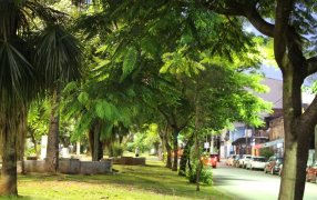 “Es tendencia mundial ir hacia ciudades saludables, resilientes y sostenibles”