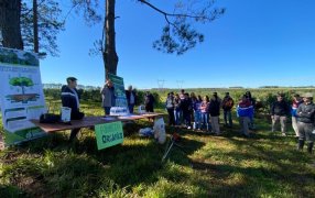 Jornada sobre yerba mate orgánica en el establecimiento “La Negrita”: El cuidado del medio ambiente, una prioridad para la actividad yerbatera