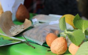 Misiones: La Multiversidad en jornada de trabajo y Feria Provincial de las Semillas Nativas y Criollas