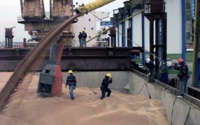 El desafío de la sustentabilidad: La soja argentina es la más vulnerable a las regulaciones de la Unión Europa