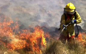 En Córdoba, por el viento norte y el calor anticipan que hay riesgo extremo de incendios forestales