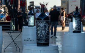 Se inauguró “El Arca”, donde descansan los Arcángeles y los Demonios de la bodega Sin Reglas