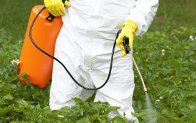 La carta de productores de Misiones al Gobernador: Piden que vete la Ley que prohíbe el glifosato