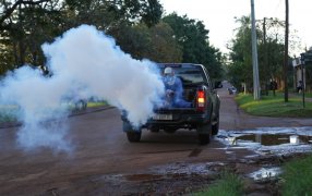 “Todos contra el Dengue”: Continúa la intensiva Campaña de Fumigación en distintos barrios del Municipio apostoleño