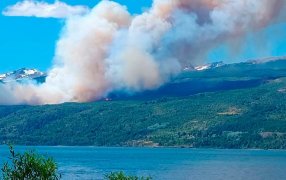 Chubut: Casi cien brigadistas combaten por tierra el incendio en el Parque Nacional Los Alerces