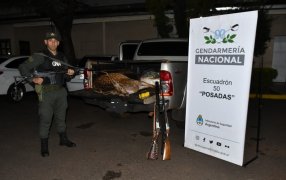 Misiones: Gendarmería Nacional realizó secuestro de armas y un ciervo sin vida