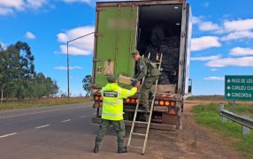 Marihuana con un valor de 83 millones de pesos era enviada por encomiendas, la paquetería fue interdictada luego de controlar un transporte de cargas proveniente de Misiones