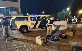 Misiones: Prefectura Naval Argentina secuestró un cargamento de 73 kilos de marihuana