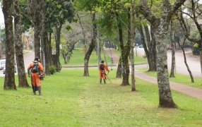 Apóstoles: Mejoramientos intensivos en césped de las plazas y plazoletas, con un trabajo diario para mantener la ciudad limpia y ordenada