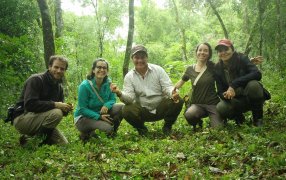 Para afianzar la producción agroecológica, el INYM estudia si mamíferos utilizan los yerbales como corredores entre áreas de selva