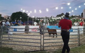 Con promesa de reapertura del frigorífico local, el Municipio misionero de Bernardo de Irigoyen coronó su Primer Remate Nocturno