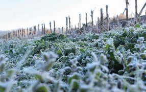 Ola polar: Casi todo el país está bajo alerta meteorológica por el frío