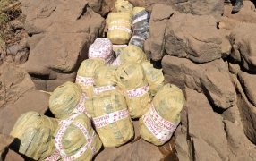 Gendarmería Nacional secuestró más de media tonelada de marihuana