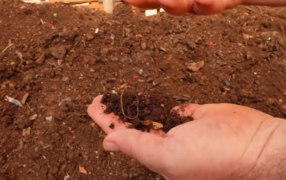 En el Municipio misionero de Apóstoles convierten residuos orgánicos en fertilizante natural para la producción, la Planta de Reciclaje Municipal encontró la manera de transformar