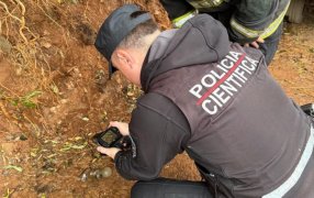 Misiones: Bomberos anti-explosivos retiraron una granada del frente de una vivienda en la localidad de Bernardo de Irigoyen, el artefacto fue retirado sin incidentes