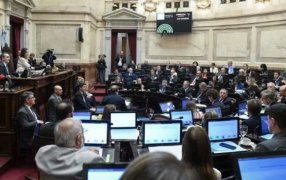 El Senado define este miércoles la Ley Bases y el paquete fiscal