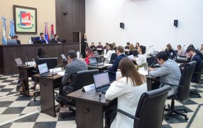 A través de la aprobación de una Ordenanza, Concejales posadeños fortalecen la educación y el cuidado de los animales