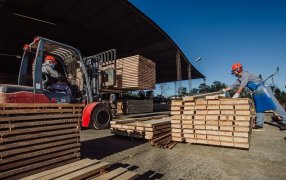 Exportación de productos forestales a la Unión Europea: Misiones será sede de la jornada de difusión de los requisitos que entrarán en vigencia para todos los eslabones de la cadena forestal