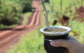 Día del Mate Argentino, la bebida preferida de toda una Nación