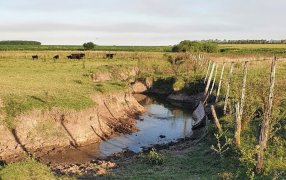 “El campo está todo cortado”