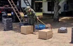 Dos personas resultaron detenidas al recibir una encomienda con marihuana