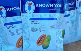 Impulso a las cuencas productoras de mamón en Misiones