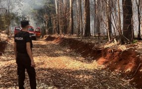 Una rápida intervención de Bomberos Voluntarios evitó la propagación de un incendio forestal en una zona rural de la localidad de Campo Grande