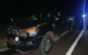 Siniestro vial en jurisdicción del Municipio de San José: Una camioneta colisionó con un vacuno sobre la Ruta Nacional N° 14