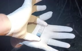La Policía de Misiones incautó más de un kilo de cocaína valuado en casi 25 millones de pesos tras una persecución por el monte en el Municipio de Puerto Iguazú