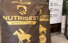 Lanzamiento: Llega Nutrigest, una nueva marca de alimentos para caballos de alto rendimiento