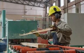 Informe de la Bolsa de Comercio de Rosario, basado en datos oficiales: Misiones figura entre las cuatro provincias con mayor expansión económica en la última década