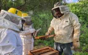 Frente a la crisis del empleo, Pata Pila fortalece su programa en oficios en el norte argentino