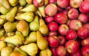 Color esperanza: Después de mucho tiempo, hay más economías regionales en verde que en rojo