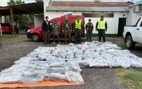 Gendarmes secuestraron 950 kilos de pescado: Los especímenes no contaban con la cadena de frío correspondiente