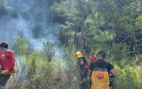 Bomberos de la Policía de Misiones controlaron un foco de incendio de malezas en cercanías a una plantación de pinos de la localidad misionera de Santa Ana