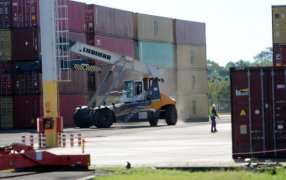 Record histórico: Las exportaciones de la provincia de Misiones en 2025 representaron casi el 50% del NEA