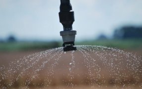 Incentivos fiscales y estímulos a la inversión: El plan del Gobierno Nacional para duplicar la superficie bajo riego