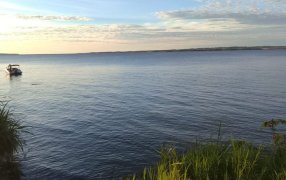 Posadas: Intensa búsqueda de un hombre que se sumergió en el Río Paraná, no volvió a la superficie y no lograra regresar a la orilla