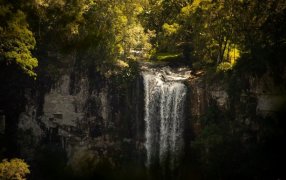 Turismo educativo: Los Parques Provinciales como escenarios pedagógicos