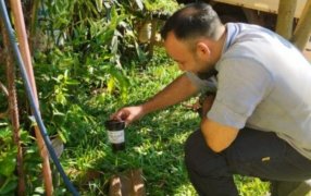 Misiones: Acciones de prevención y control del Aedes Aegypti en distintos Municipios de la provincia
