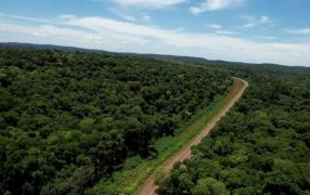 La provincia de Misiones avanzará con el Bono de Infraestructura y prepara el primer Bono Verde respaldado por créditos de carbono