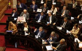El Senado rechazó los vetos del Presidente Javier Milei y dejó firme las Leyes de Financiamiento Universitario y de Apoyo al Garrahan