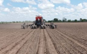 Arrancaron los ensayos de maíz y soja en el PT Farm