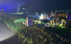 Colonia Mado: Despiste y vuelco de camión sobre la Ruta Nacional N° 12, no se registraron lesionados