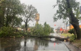 La Policía de Misiones intervino por los daños del temporal en distintos puntos en la ciudad de Posadas