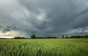 Volvió el invierno a gran parte del país: Avanza un frente frío, con riesgo de heladas que podrían afectar a los cultivos