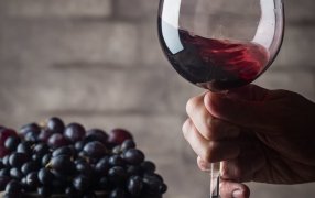 Vinos sin alcohol: Las bodegas argentinas salen al mercado con los primeros ejemplares